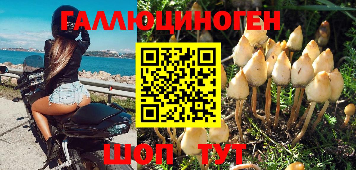 Калуга  Галлюциногенные грибы ЛСД  Галлюциногенные грибы прущие грибы  Вход с VPN 